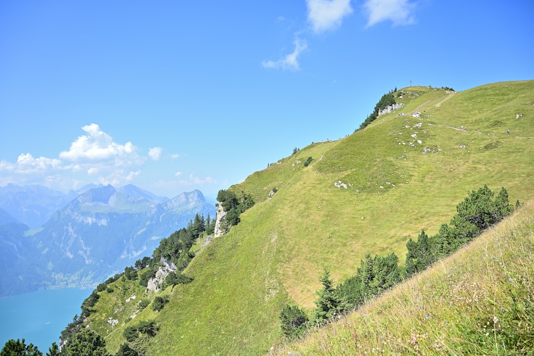 Walls of Kotor stone path winding up green mountain slope with sea view