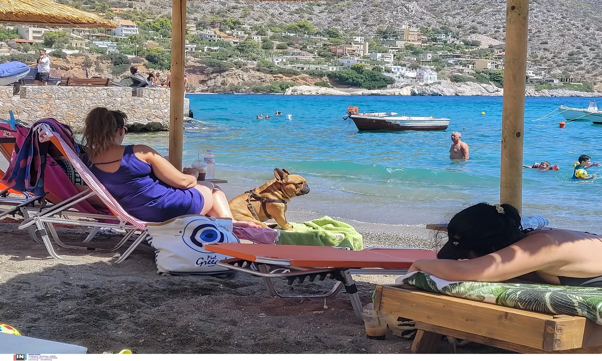 Popravljanje zahtjeva za socijalni turizam: kako ih ispraviti da ne budu odbijeni zbog grešaka