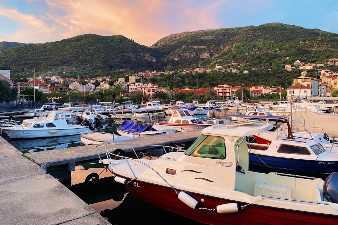 Kotor Montenegro fresh seafood market harbor morning