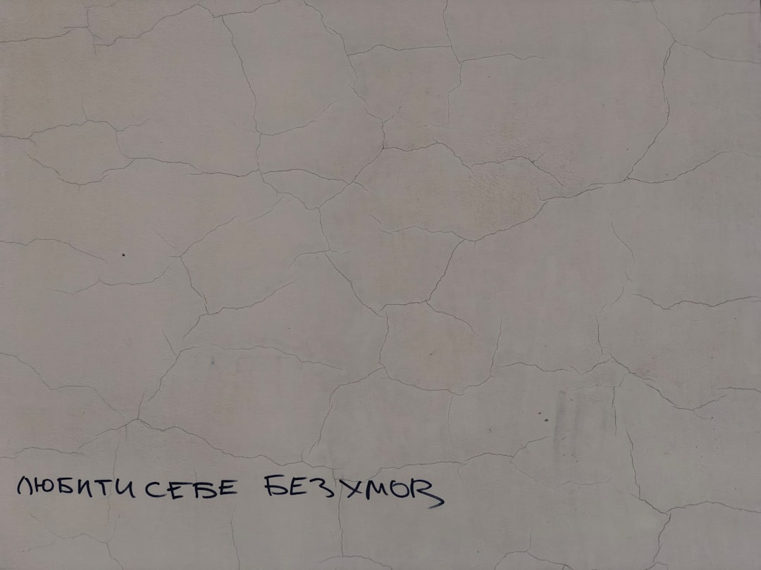 Калин Ђорђеску позива на суспензију Никјушора Дана усред сукоба око формирања владе