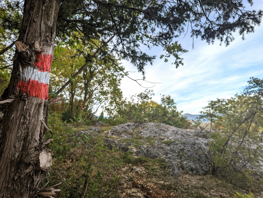 Јурећи Динарске Алпе: Гонзо поход кроз диво срце Црне Горе