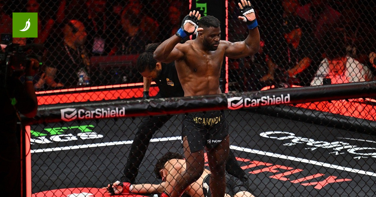Нганну се врати жестоким KO у првој рунди на MVP MMA 1