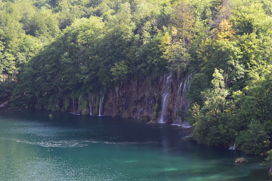 Kozjak Lake Plitvice wooden boat calm water forest background